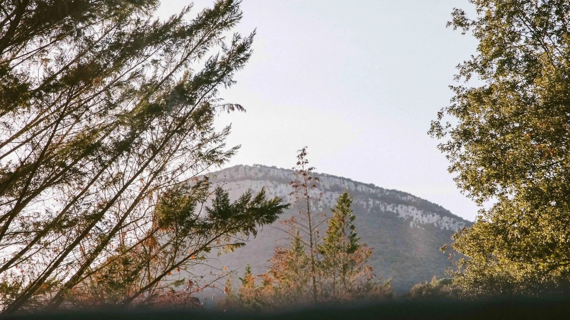 Caseta Wald By Tiny Away Las Serras